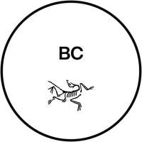 microsite-logo