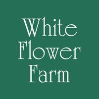 microsite-logo