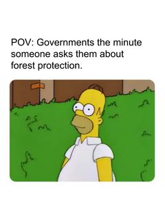 not found