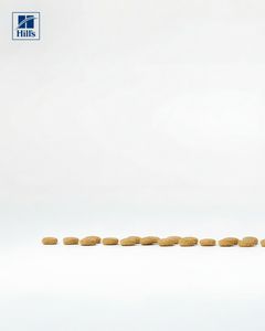 not found