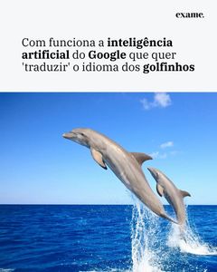 not found