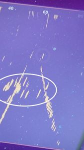 not found