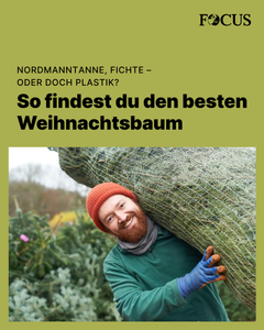 not found