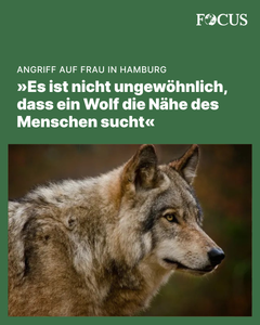 not found