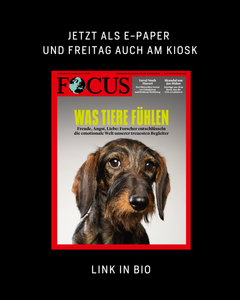 not found
