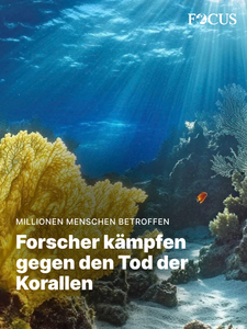 not found