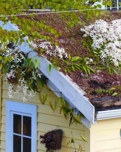 not found