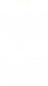 not found