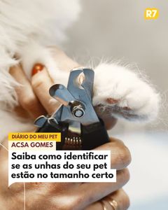 not found