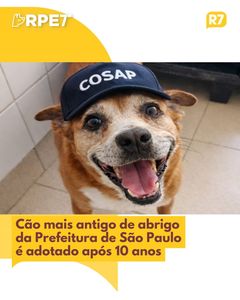not found