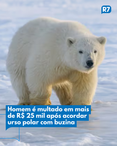 not found