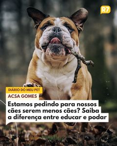 not found