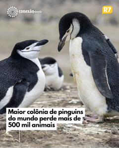 not found