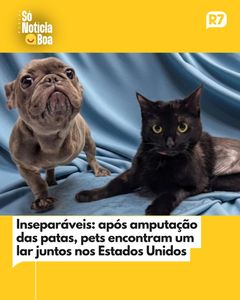 not found