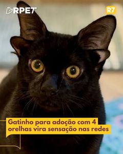 not found