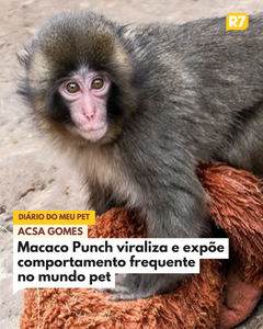 not found