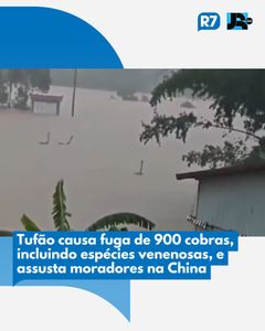 not found