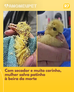 not found