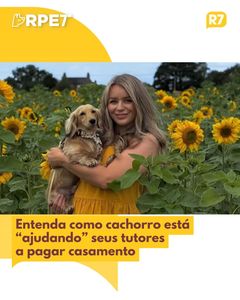 not found