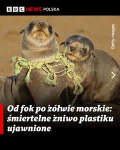 not found