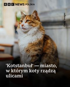 not found