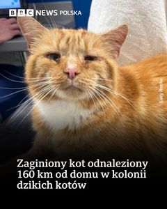 not found