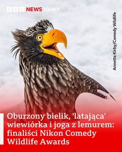 not found
