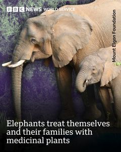 not found