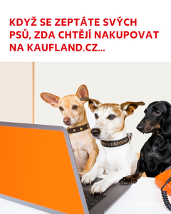 not found