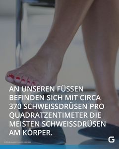 not found
