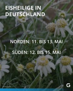 not found