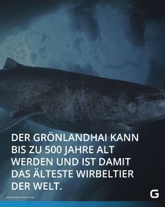 not found