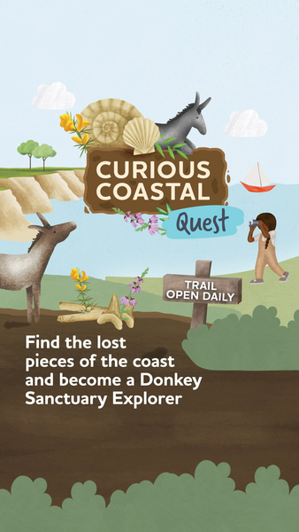 not found