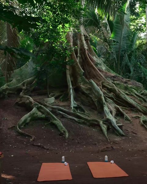 not found