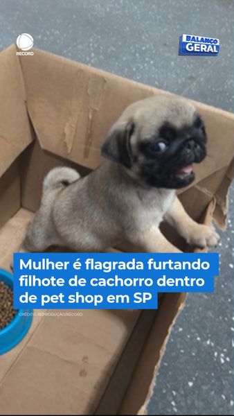 not found