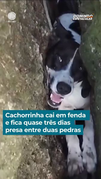 not found