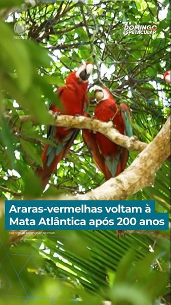 not found