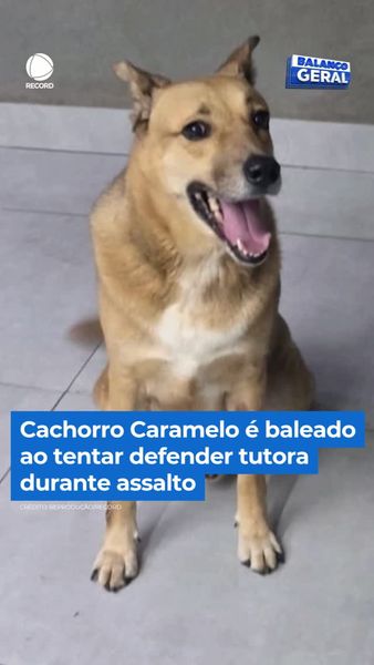 not found