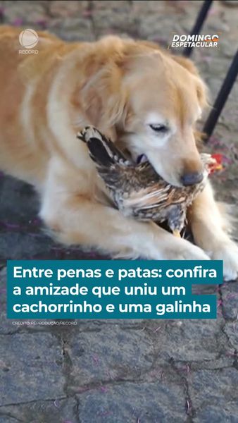 not found