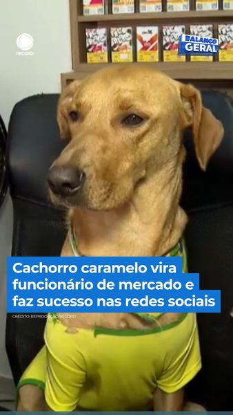 not found