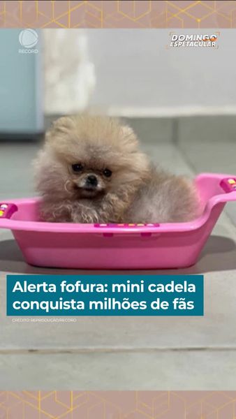 not found