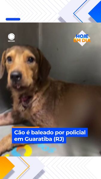 not found