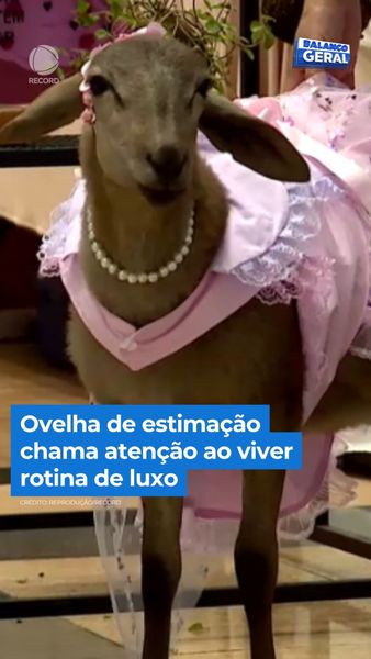 not found