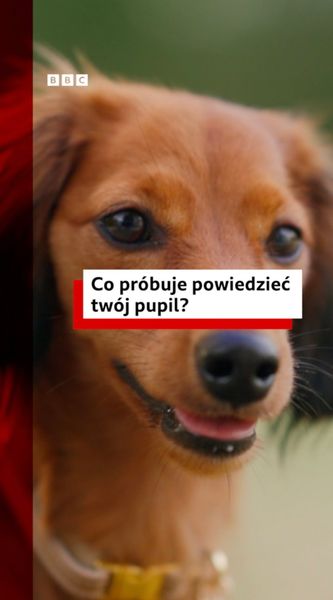 not found