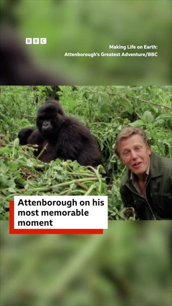 not found