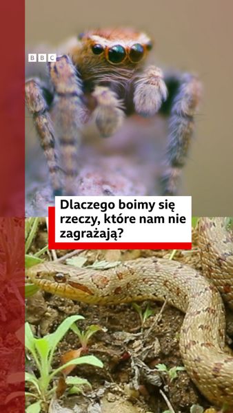 not found